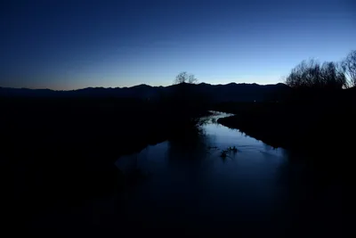 DSC_1100 (Large).JPG